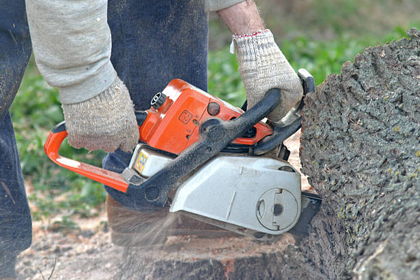 Best Aeration Services  in Lake City, SC